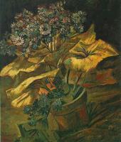 Gogh, Vincent van - Coneraria in a Flowerpot